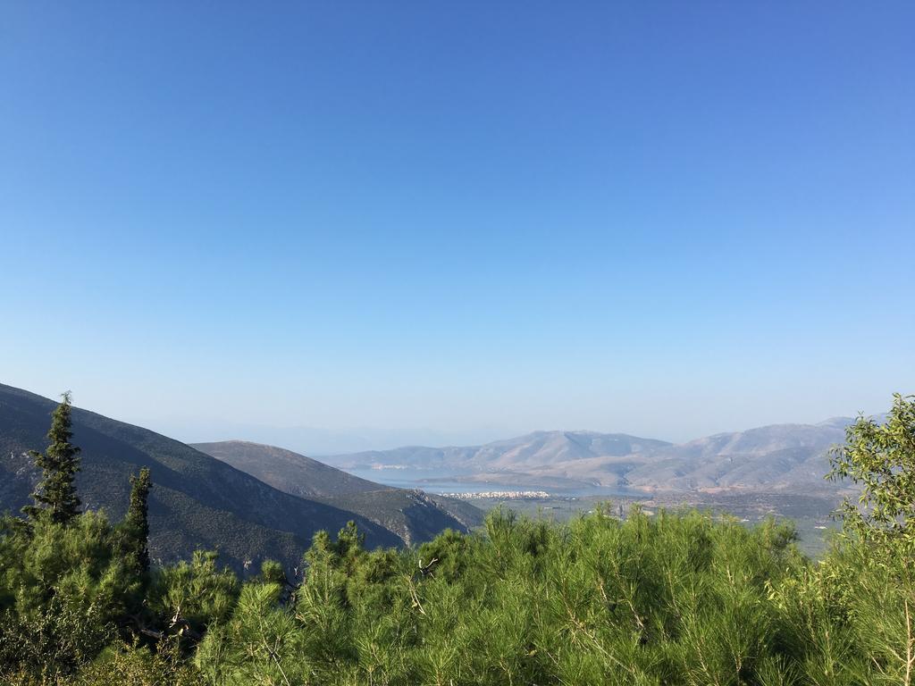 Delphi Palace المظهر الخارجي الصورة